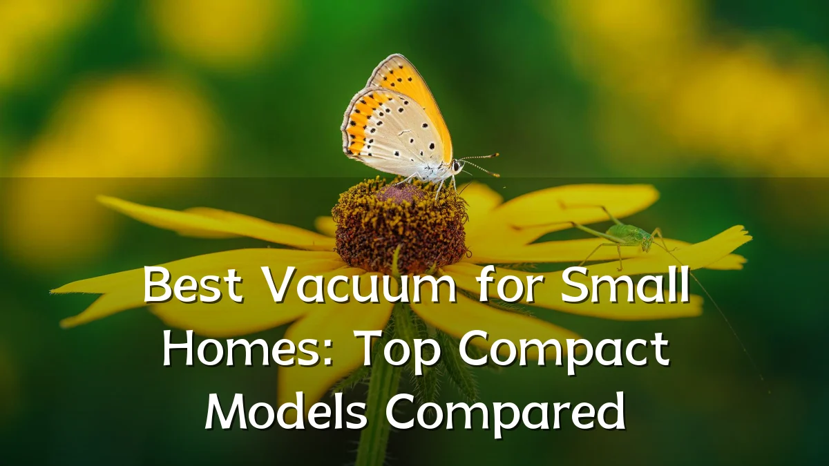 Best Vacuum for Small Homes: Top Compact Models Compared