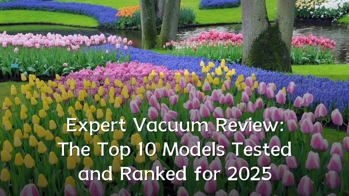 Expert Vacuum Review: The Top 10 Models Tested and Ranked for 2025