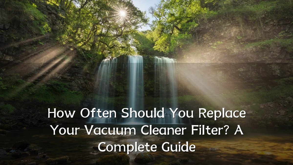 How Often Should You Replace Your Vacuum Cleaner Filter? A Complete Guide