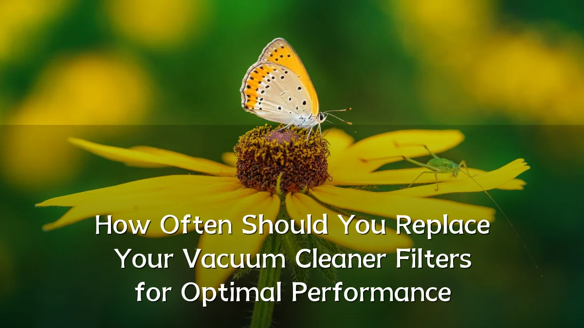 How Often Should You Replace Your Vacuum Cleaner Filters for Optimal Performance