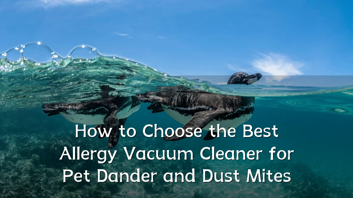 How to Choose the Best Allergy Vacuum Cleaner for Pet Dander and Dust Mites