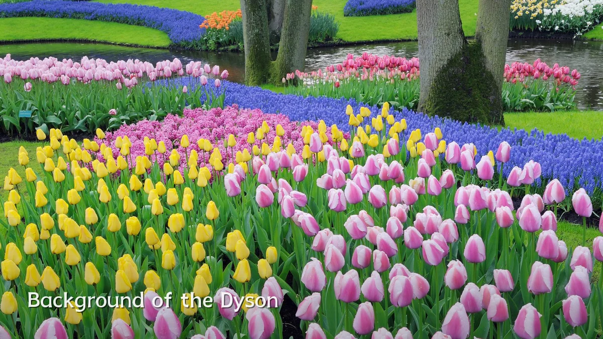 Background of the Dyson