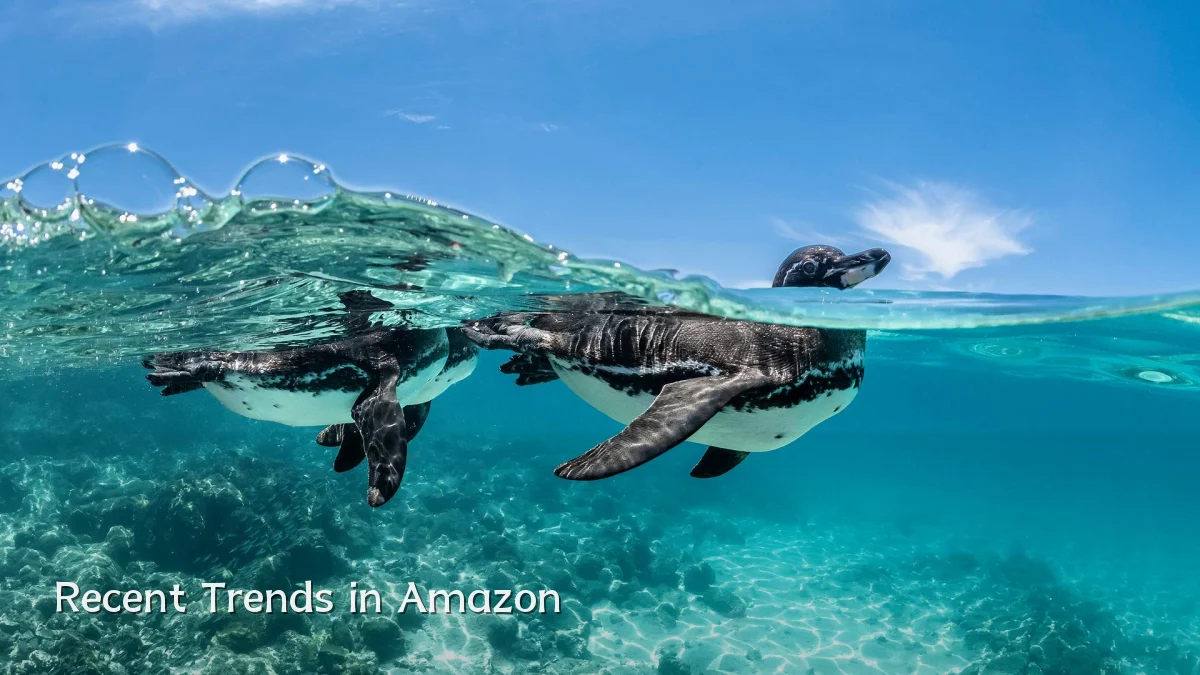 Recent Trends in Amazon