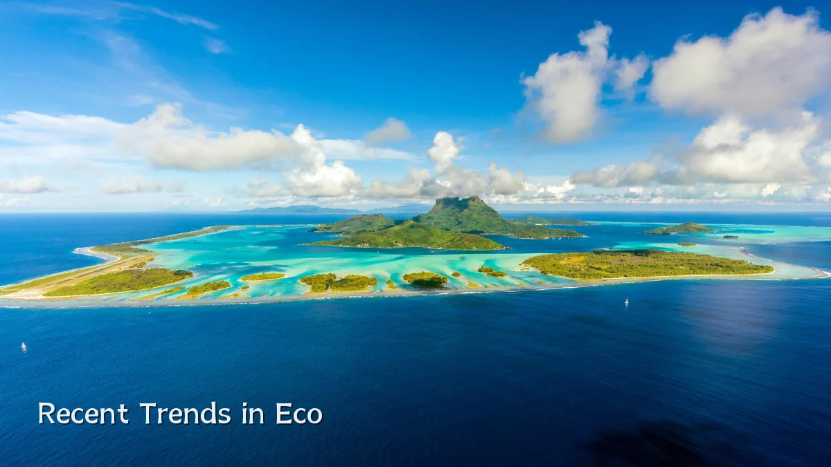 Recent Trends in Eco