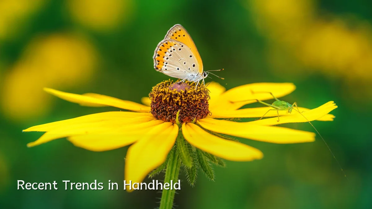 Recent Trends in Handheld