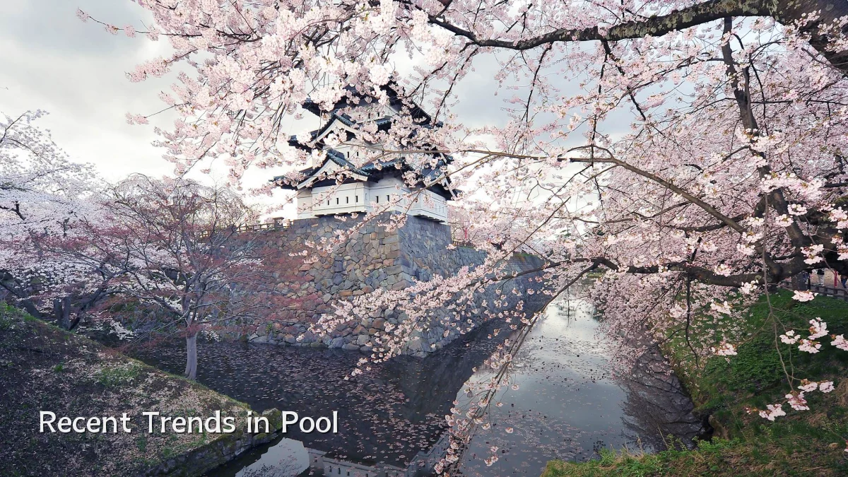 Recent Trends in Pool