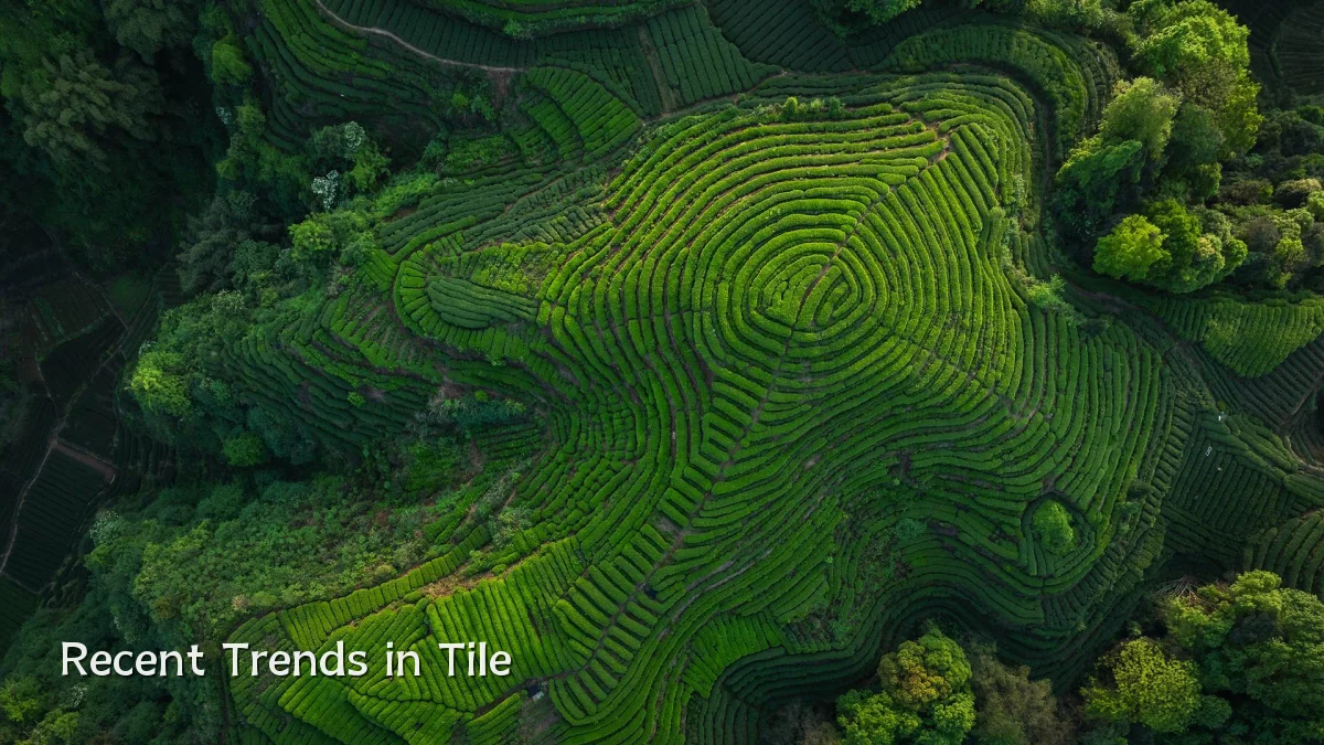 Recent Trends in Tile