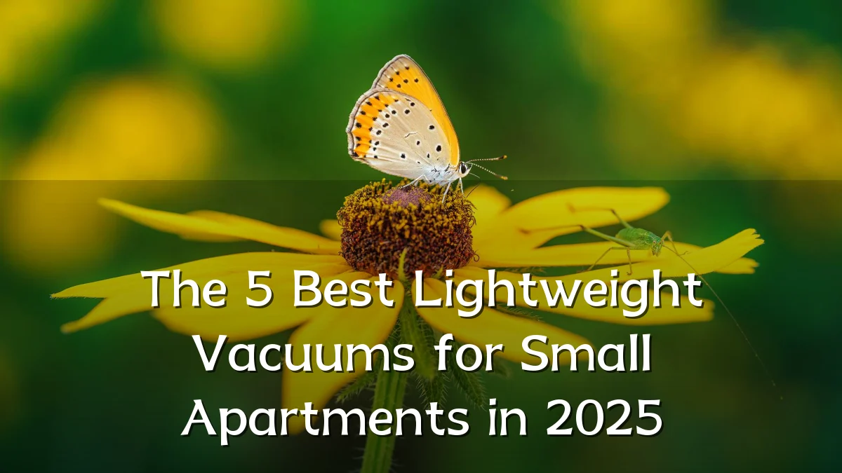 The 5 Best Lightweight Vacuums for Small Apartments in 2025
