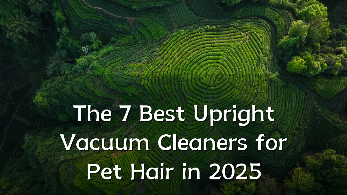 The 7 Best Upright Vacuum Cleaners for Pet Hair in 2025