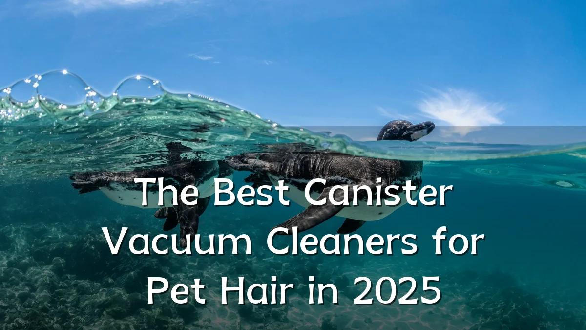 The Best Canister Vacuum Cleaners for Pet Hair in 2025