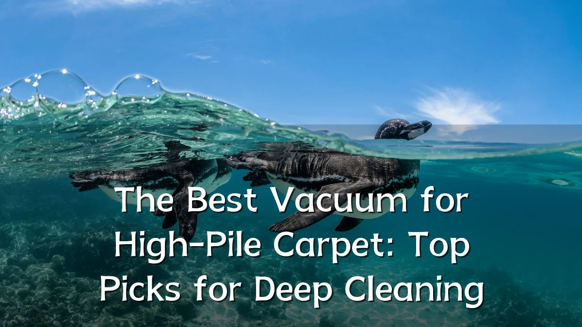 The Best Vacuum for High-Pile Carpet: Top Picks for Deep Cleaning