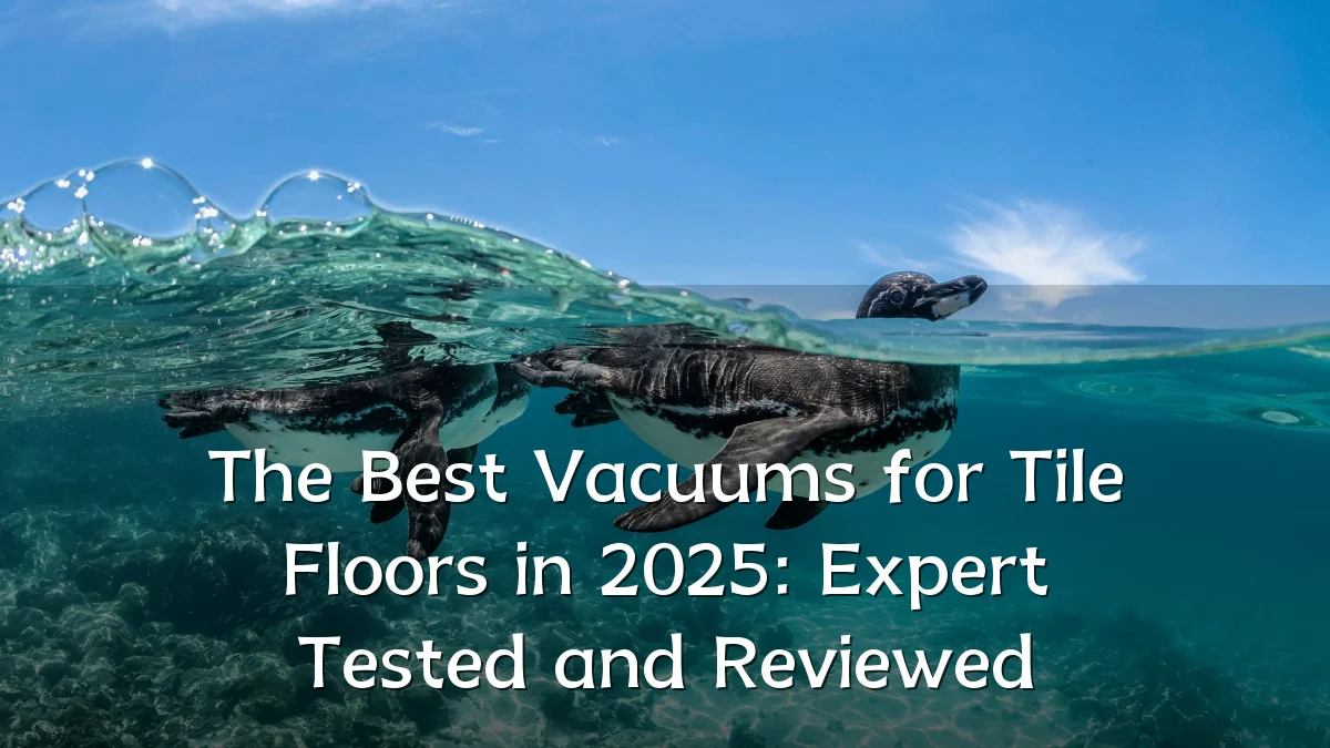 The Best Vacuums for Tile Floors in 2025: Expert Tested and Reviewed