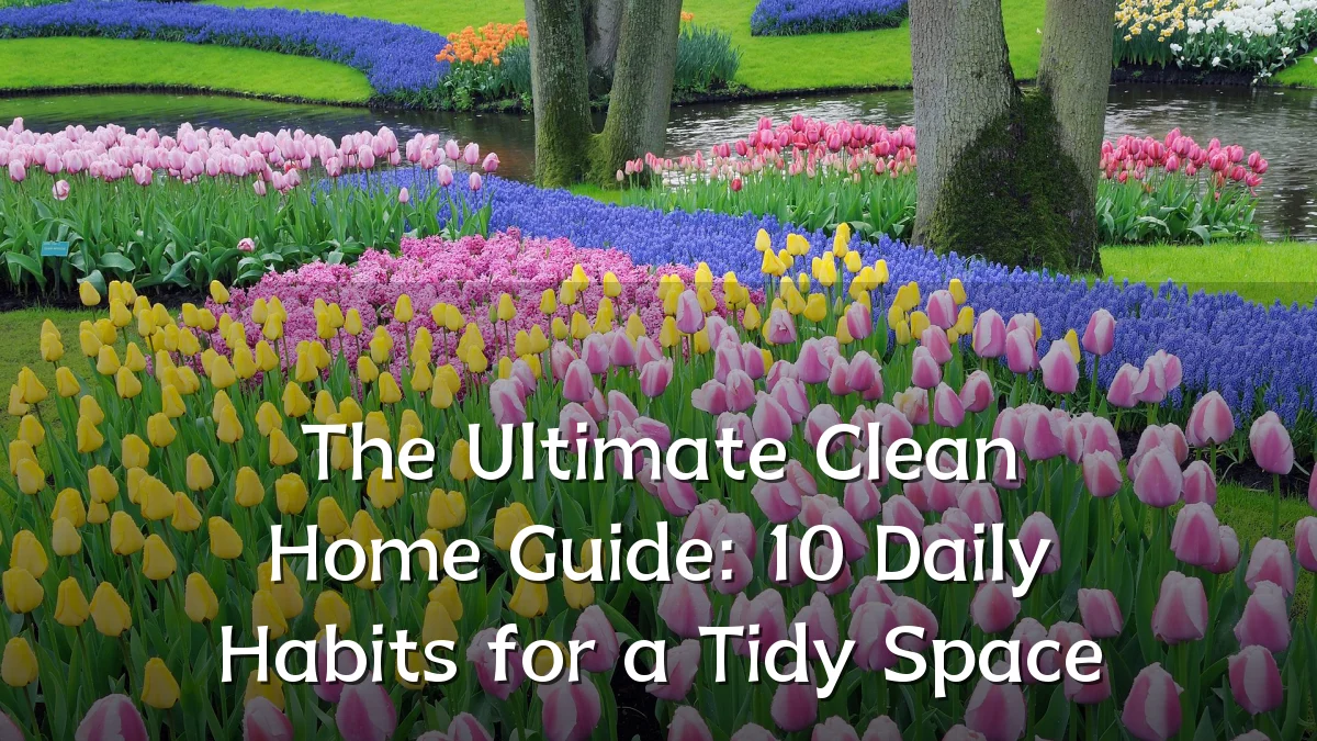 The Ultimate Clean Home Guide: 10 Daily Habits for a Tidy Space