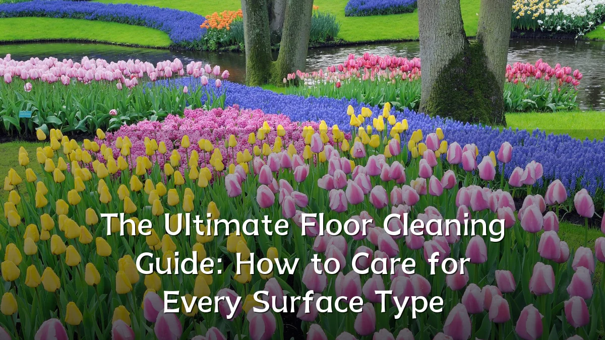 The Ultimate Floor Cleaning Guide: How to Care for Every Surface Type