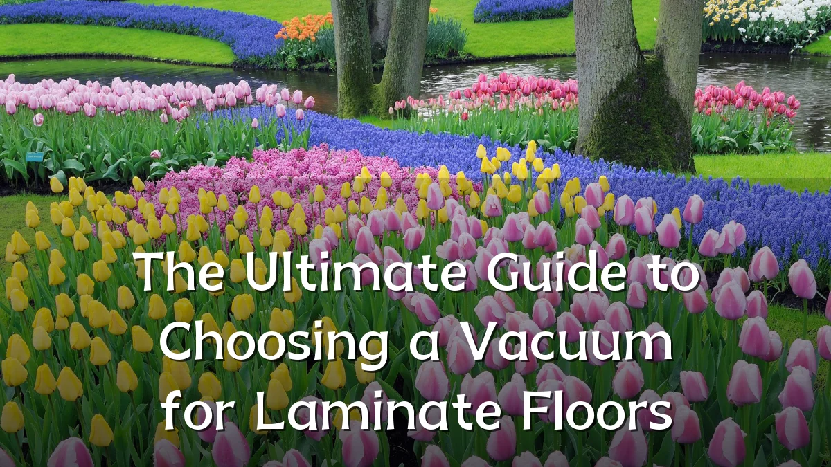 The Ultimate Guide to Choosing a Vacuum for Laminate Floors