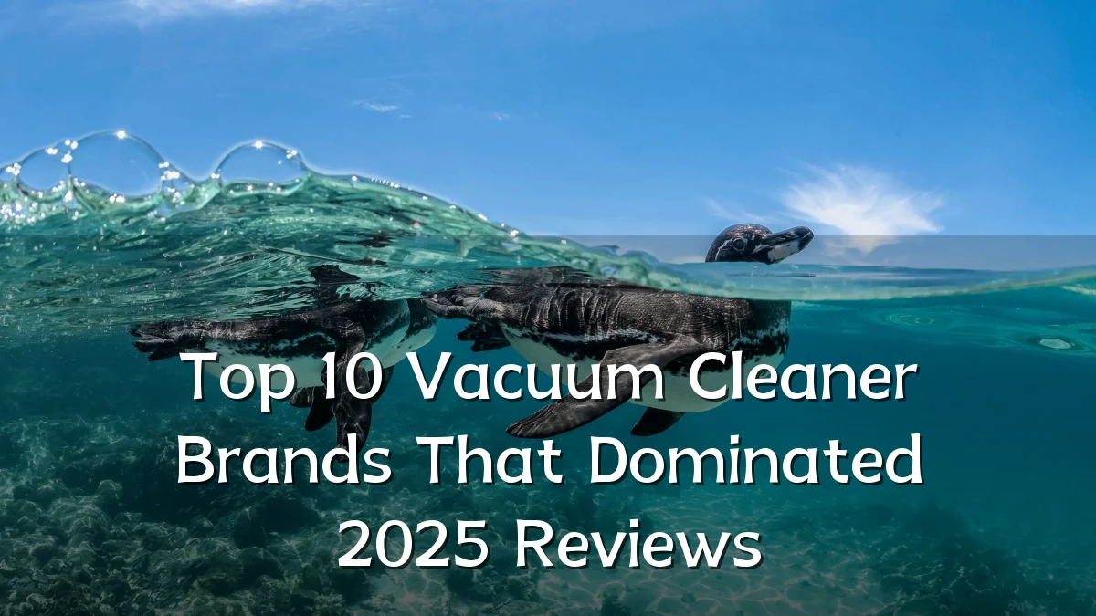 Top 10 Vacuum Cleaner Brands That Dominated 2025 Reviews